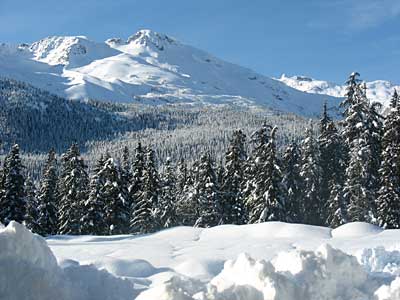 IMG_2352.jpg