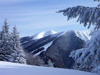 PICT0028.jpg