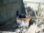 DSCN0806.JPG