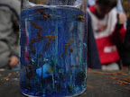 DSC04320.JPG