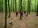 DSCN0963.JPG