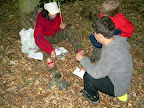 DSCN0952.JPG