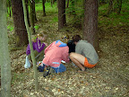 DSCN0953.JPG