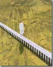 hanging garden_03 - Hans Vandekerckhove