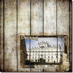 praag_resize