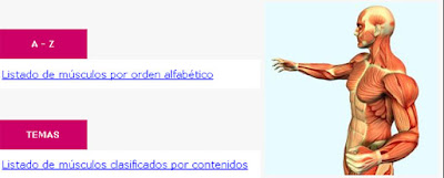 Miologia Miologia
