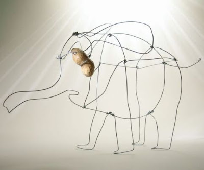 http://lh3.google.com/polirang/RsvgT_zMRnI/AAAAAAAAAXc/BfOg3VAd6KE/25384631_1186613291_elephant1.jpg?imgmax=400