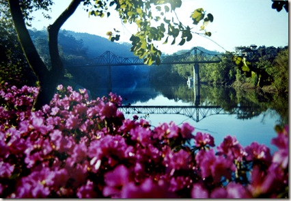 Azal_ia_Foto_Eraldo_Schnaider