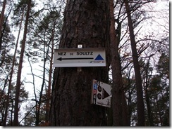 L'objectif de notre promenade