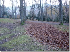 Chemin d'automne 1