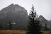 DSC_0118.JPG