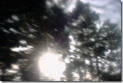 PICT0019