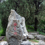 136CANON