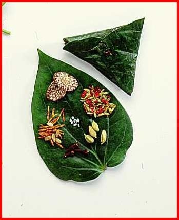 Paan Supari