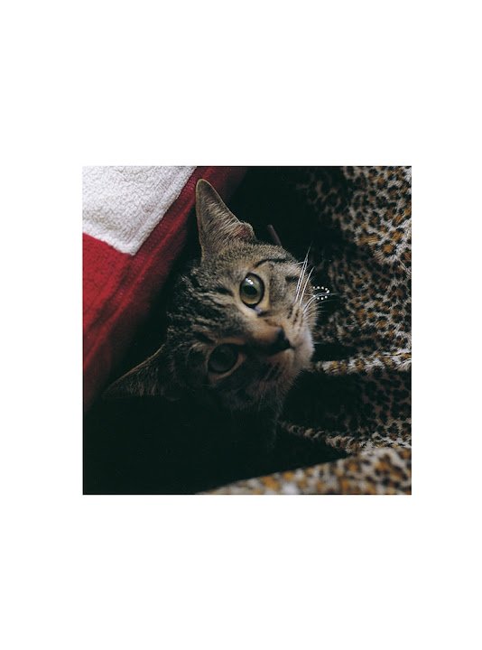 Shouko Nakagawa ShoukoNakagawa_Fushigi_012.jpg yHrHLI -  http://ahotgirl.blogspot.com | http://gallery.henku.info