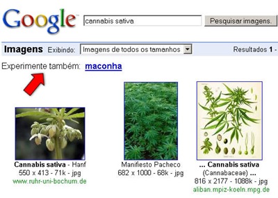 maconhadogoogle