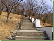 PICT0085