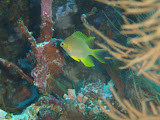 PA140216.JPG