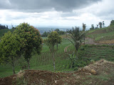 PA170366.JPG