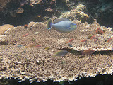 PA130059.JPG