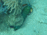 PA160325.JPG