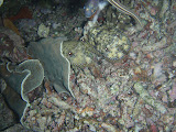 PA200679.JPG