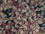 PA130178.JPG