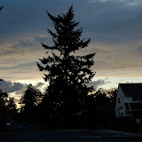 _DSC0001.JPG
