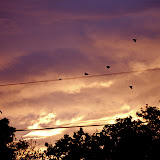 _DSC0016.JPG