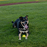 _DSC0148.JPG