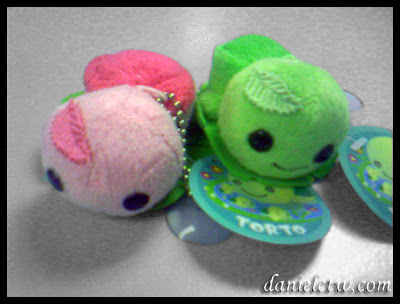 turtle gift