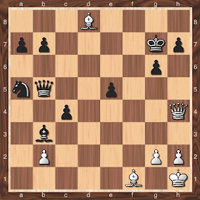 Carlsen-Topalov