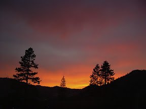 dsc00894.jpg