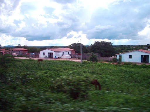 DSCF7193