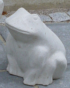 Skrubtudsen