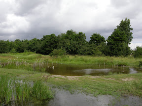 Nature near by the garden