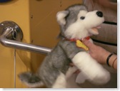 misc.and build a bear 073