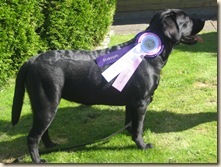 PIMA_PRISAD_2007 (3)