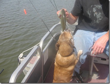 first fish 065