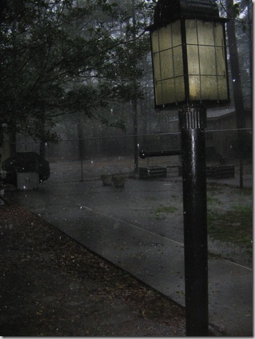 flood 010