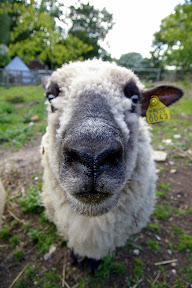 Extreme Closeup!