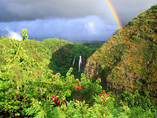 Venice Falls Hawaii