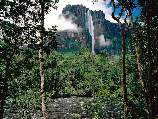 at angel+falls+venezuela