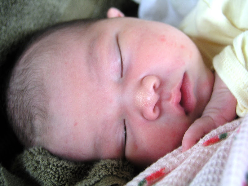 lilamei
