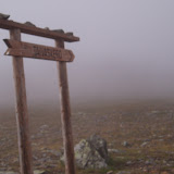 Pallas 2004