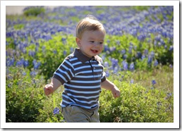 lukebluebonnets2