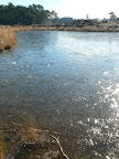 P1020746.JPG