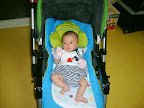 S5003414.JPG
