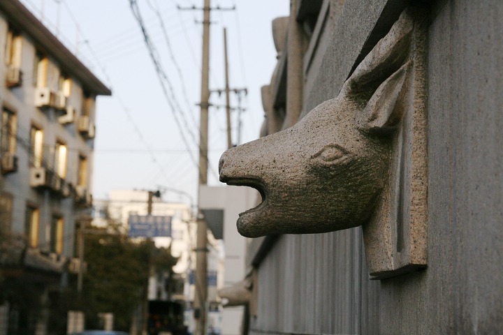 鹿头