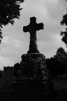 IMAGE: http://lh3.google.com/tim.duckworth/Ro2gpoeP78I/AAAAAAAAFOA/Yrdy3efy1z0/s400/IMG_3312.JPG